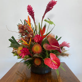 Tropical Splendor