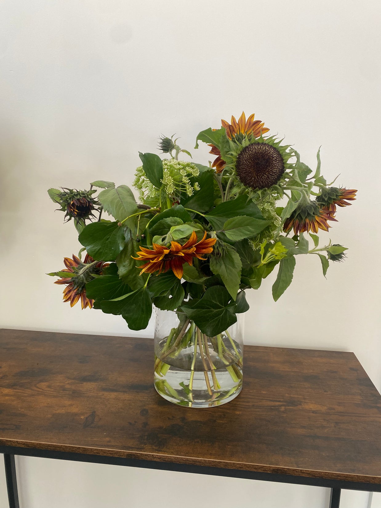 Enchanting sunflowers