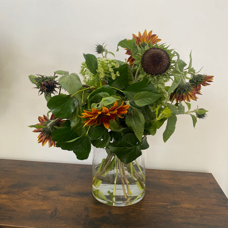 Enchanting sunflowers