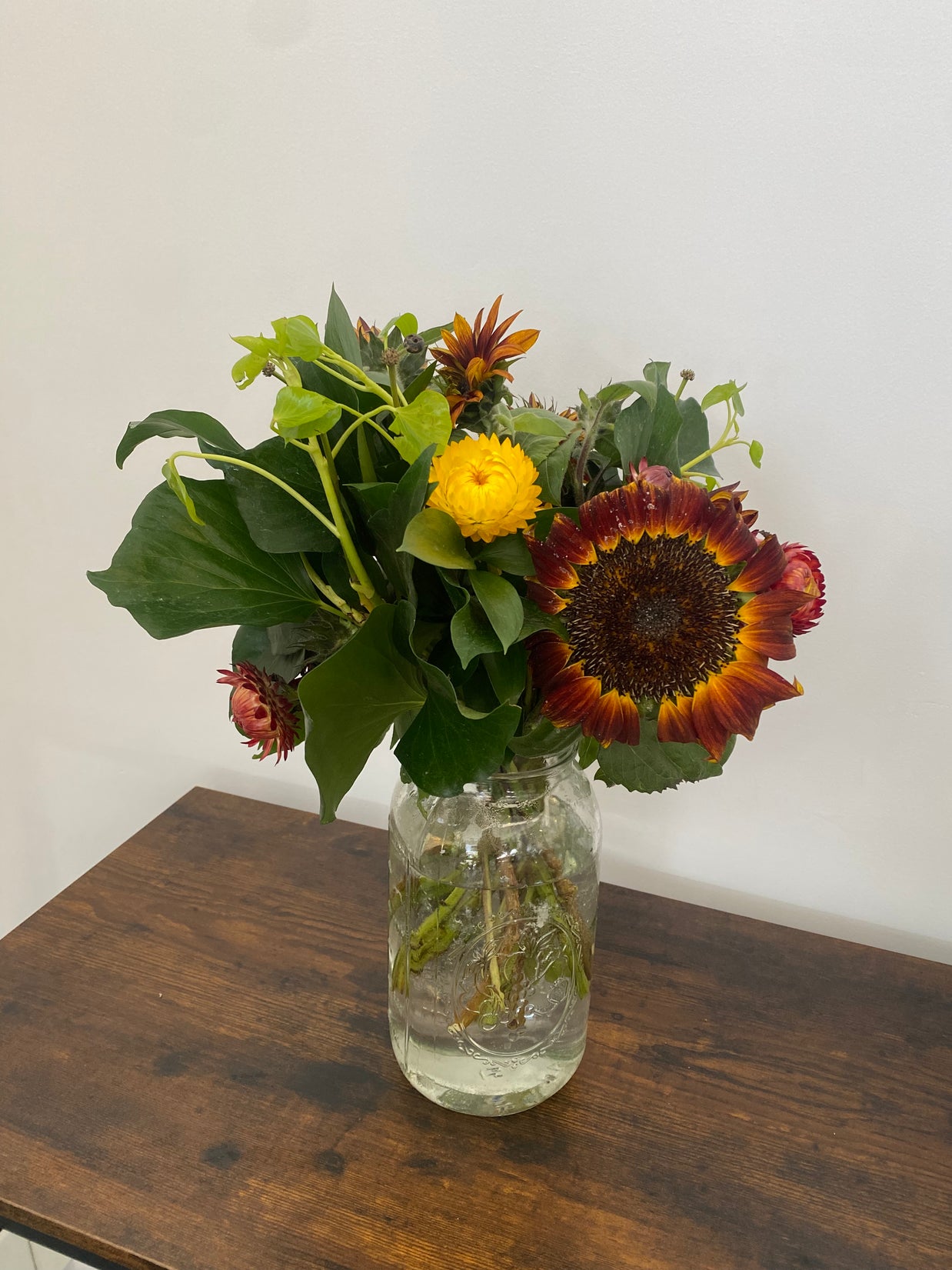 Enchanting sunflowers