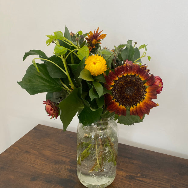 Enchanting sunflowers