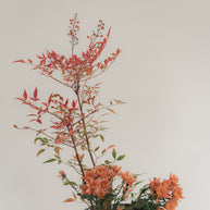 Ikebana Class