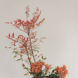 Ikebana Class